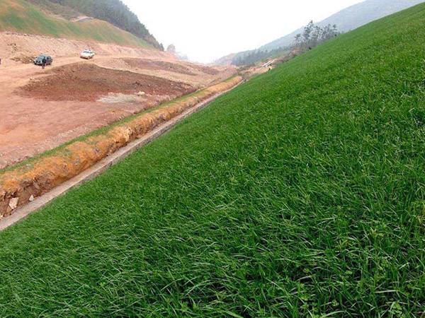 矿山绿化